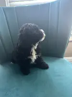 processed/c00517df-2c3f-4f63-ac96-b044d16a8b44/listing/884a4e06-4ba2-4883-9bdf-12f0ee374fd8/a3db021f-5b5c-4725-a6c2-92aabae2f7b8