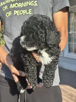 processed/c00517df-2c3f-4f63-ac96-b044d16a8b44/listing/884a4e06-4ba2-4883-9bdf-12f0ee374fd8/ee3805b5-9122-4afb-bfc3-127b6cfd7954