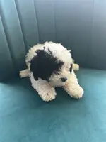 Cookie, a female Poodle - Toy  for sale in Kennesaw, GA – Photo 2 of 4