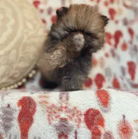 processed/c0083d17-b9b3-4b84-b197-df171b10408c/listing/9657ac62-205c-4e41-826f-03e16cd7180d/2322cc3c-8f2f-46b9-ab85-3b991fb9e2f9