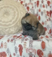 processed/c0083d17-b9b3-4b84-b197-df171b10408c/listing/9657ac62-205c-4e41-826f-03e16cd7180d/3b743e19-400a-4430-aeff-4349c373985e