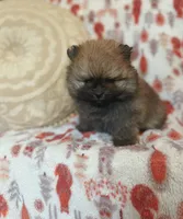 processed/c0083d17-b9b3-4b84-b197-df171b10408c/listing/9657ac62-205c-4e41-826f-03e16cd7180d/47d40b24-159a-4f7e-bfc7-45e0c50eda42