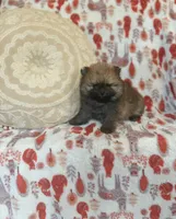 processed/c0083d17-b9b3-4b84-b197-df171b10408c/listing/9657ac62-205c-4e41-826f-03e16cd7180d/9a30572d-2dda-4dc1-89d7-e37ed716d1f3