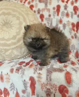 processed/c0083d17-b9b3-4b84-b197-df171b10408c/listing/9657ac62-205c-4e41-826f-03e16cd7180d/adbff6b4-1f4c-47c6-9a82-4a6851c911f2