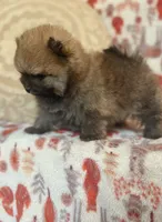 processed/c0083d17-b9b3-4b84-b197-df171b10408c/listing/9657ac62-205c-4e41-826f-03e16cd7180d/b892dfd9-5209-474b-99a5-b4b7703369d0