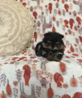 processed/c0083d17-b9b3-4b84-b197-df171b10408c/listing/be9e0f24-b70a-4c65-96c2-08120f84f694/1a0e4913-ee8d-4d9c-92f0-0edfc6fb846e