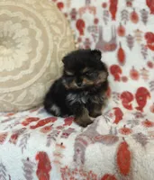 processed/c0083d17-b9b3-4b84-b197-df171b10408c/listing/be9e0f24-b70a-4c65-96c2-08120f84f694/29ba8ac0-2488-46a1-9c09-2b0d61e8e921