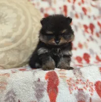 processed/c0083d17-b9b3-4b84-b197-df171b10408c/listing/be9e0f24-b70a-4c65-96c2-08120f84f694/96601075-a15d-49e6-a226-63395024603c