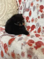 processed/c0083d17-b9b3-4b84-b197-df171b10408c/listing/be9e0f24-b70a-4c65-96c2-08120f84f694/9b411bb5-7cbc-48c3-bb18-57f5740fc6f9