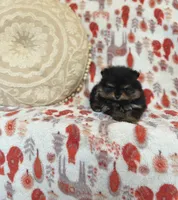 processed/c0083d17-b9b3-4b84-b197-df171b10408c/listing/be9e0f24-b70a-4c65-96c2-08120f84f694/add5d68b-1743-4d08-bdab-008c4d63c084