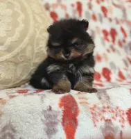 processed/c0083d17-b9b3-4b84-b197-df171b10408c/listing/be9e0f24-b70a-4c65-96c2-08120f84f694/c693db87-1552-488e-9d67-c163906e89cd