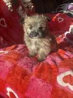 processed/c013f380-3387-48cf-8031-059df4a3817a/listing/c5ae0fd6-b083-4124-a923-3330204b1e20/1a9977b4-e777-454e-86a0-442cba4cf87e