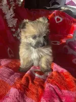 processed/c013f380-3387-48cf-8031-059df4a3817a/listing/c5ae0fd6-b083-4124-a923-3330204b1e20/1d75c916-e6ee-4145-ac3a-576bb8547496