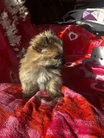 processed/c013f380-3387-48cf-8031-059df4a3817a/listing/c5ae0fd6-b083-4124-a923-3330204b1e20/66a3422f-2c26-4805-8711-91f835385004