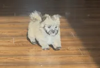 processed/c013f380-3387-48cf-8031-059df4a3817a/listing/c5ae0fd6-b083-4124-a923-3330204b1e20/897dee62-603b-4b30-b401-2cd146be14ad