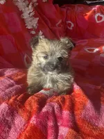 processed/c013f380-3387-48cf-8031-059df4a3817a/listing/c5ae0fd6-b083-4124-a923-3330204b1e20/8cb57b3e-c8eb-4796-990c-abd2a4cd9f30