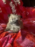 processed/c013f380-3387-48cf-8031-059df4a3817a/listing/c5ae0fd6-b083-4124-a923-3330204b1e20/cf0d4569-8ac5-431a-a1e8-58a3fa3a1a29