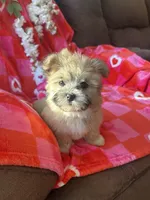 processed/c013f380-3387-48cf-8031-059df4a3817a/listing/ce39b059-86ba-4397-b87e-0313670dec83/0d655bd9-d6cf-44ef-8756-98da46f3e48f