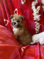 processed/c013f380-3387-48cf-8031-059df4a3817a/listing/ce39b059-86ba-4397-b87e-0313670dec83/3412ad93-772c-452d-ad52-db0e0866b318