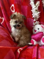 processed/c013f380-3387-48cf-8031-059df4a3817a/listing/ce39b059-86ba-4397-b87e-0313670dec83/5f7a5668-e2cc-46c5-b0a7-3365e456c9e3