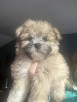 processed/c013f380-3387-48cf-8031-059df4a3817a/listing/ce39b059-86ba-4397-b87e-0313670dec83/a7d2f706-9b33-4942-8a7e-1f863a7394cf