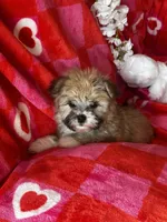 processed/c013f380-3387-48cf-8031-059df4a3817a/listing/ce39b059-86ba-4397-b87e-0313670dec83/cd59c4e7-1729-4cc1-ba5c-b7bfd29a8f85