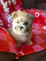 processed/c013f380-3387-48cf-8031-059df4a3817a/listing/ce39b059-86ba-4397-b87e-0313670dec83/cf11b3c5-ad45-492e-a354-4f1b6de6be57