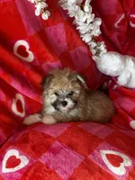 processed/c013f380-3387-48cf-8031-059df4a3817a/listing/ce39b059-86ba-4397-b87e-0313670dec83/e5a66f5e-bcb3-426a-bbad-da990e008426