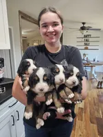 processed/c01e613b-3234-4410-927e-585f7552b6ae/facility/07e69ea5-1d83-4daf-8afd-96b06a1bf097