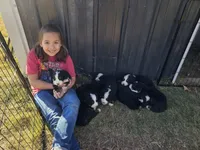 processed/c01e613b-3234-4410-927e-585f7552b6ae/facility/35a3cb95-dd5c-407d-b9d3-e201d96db805