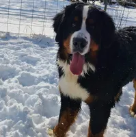 processed/c01e613b-3234-4410-927e-585f7552b6ae/facility/62ccd678-72d4-40c9-b4eb-a8a1db82e963