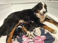 processed/c01e613b-3234-4410-927e-585f7552b6ae/facility/84cc2881-bccb-4087-8a28-e19b1ea32052