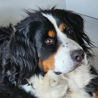 processed/c01e613b-3234-4410-927e-585f7552b6ae/facility/a3a44349-2855-402d-b0aa-d8fdc1608e86