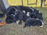 processed/c01e613b-3234-4410-927e-585f7552b6ae/facility/c020a4be-4393-40fe-a1ab-a3a42cd9c120