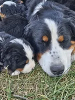 processed/c01e613b-3234-4410-927e-585f7552b6ae/facility/ee9842b9-e30a-4398-8b84-cbd90b1bb09f