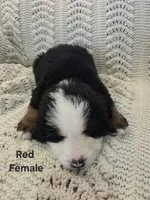 processed/c01e613b-3234-4410-927e-585f7552b6ae/listing/4109f70b-5094-4eeb-b406-48ade855ada0/3a58a05d-832a-4ba3-bcde-e2c0c00cb33e