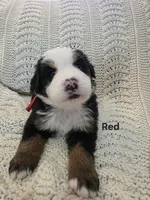 processed/c01e613b-3234-4410-927e-585f7552b6ae/listing/4109f70b-5094-4eeb-b406-48ade855ada0/506185fd-9683-4354-9cb0-6fc296e61f52