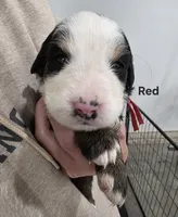 processed/c01e613b-3234-4410-927e-585f7552b6ae/listing/4109f70b-5094-4eeb-b406-48ade855ada0/a1dfe84a-3c59-4ec2-b26e-f573415ea750