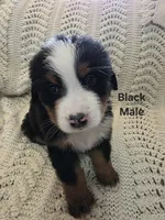 processed/c01e613b-3234-4410-927e-585f7552b6ae/listing/73642e2d-6ee7-4c59-af11-f16f21aa1e6f/07b893e0-5a6f-4b00-a6e1-09f5db7eb9e8