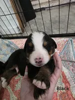 processed/c01e613b-3234-4410-927e-585f7552b6ae/listing/73642e2d-6ee7-4c59-af11-f16f21aa1e6f/95dd0112-f939-4c4e-98db-876edb75e3bb