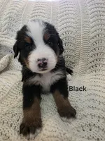 processed/c01e613b-3234-4410-927e-585f7552b6ae/listing/73642e2d-6ee7-4c59-af11-f16f21aa1e6f/dadadb76-f310-49a9-bd98-f892f6c90c0b