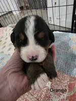 processed/c01e613b-3234-4410-927e-585f7552b6ae/listing/9a37d3d4-ae16-4faf-9d2e-e12dcf5f97c8/0c9db3be-724c-42a1-a146-220edc4dfe38