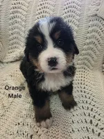 processed/c01e613b-3234-4410-927e-585f7552b6ae/listing/9a37d3d4-ae16-4faf-9d2e-e12dcf5f97c8/478c2960-904e-4b32-a92b-ceb9b6fe8aeb