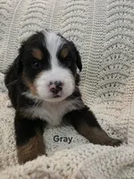 processed/c01e613b-3234-4410-927e-585f7552b6ae/listing/d0e02f28-73d1-40e9-a596-c8c8b4ab412c/3663ebba-666c-4036-95c2-a28d266f97a9