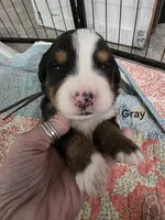 processed/c01e613b-3234-4410-927e-585f7552b6ae/listing/d0e02f28-73d1-40e9-a596-c8c8b4ab412c/d647ad63-af05-462f-adbf-42a0bd1e2059