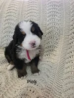 processed/c01e613b-3234-4410-927e-585f7552b6ae/listing/ecc55709-21dc-4cfc-809b-92b35cbce87c/7fad3b3d-a6cf-401e-b3eb-0ce28d4ab1bf