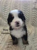 processed/c01e613b-3234-4410-927e-585f7552b6ae/listing/ecc55709-21dc-4cfc-809b-92b35cbce87c/c31e1ceb-a992-4987-8978-77b0252bcf44