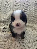 processed/c01e613b-3234-4410-927e-585f7552b6ae/listing/f735e13e-76ef-4c7b-b452-7aa5456ced7e/b8322a57-2d22-4b7b-9ccb-a660ca7cc06f