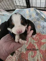 processed/c01e613b-3234-4410-927e-585f7552b6ae/listing/f735e13e-76ef-4c7b-b452-7aa5456ced7e/d408306f-218a-46ea-b4e8-772c143181a5