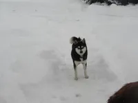 processed/c01eefb9-9a99-4863-a7dc-c541e3b8edd8/listing/43d172e9-a488-426e-8333-6bc5dba3e9cb/a1ca240c-3a96-49de-9285-0bdbde33c5dd